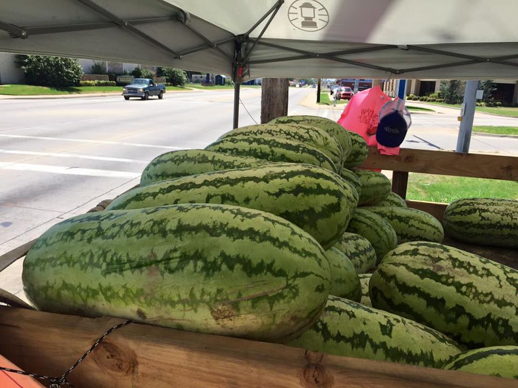 The Vibrant Celebration Of Summer The Hanna Oklahoma Watermelon Festival